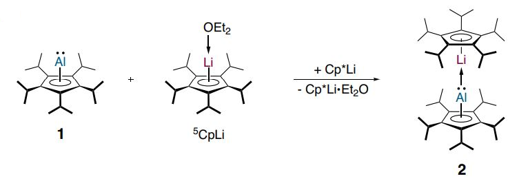   Inga-Alexandra Bischoff et al. / Nature Chemistry, 2024