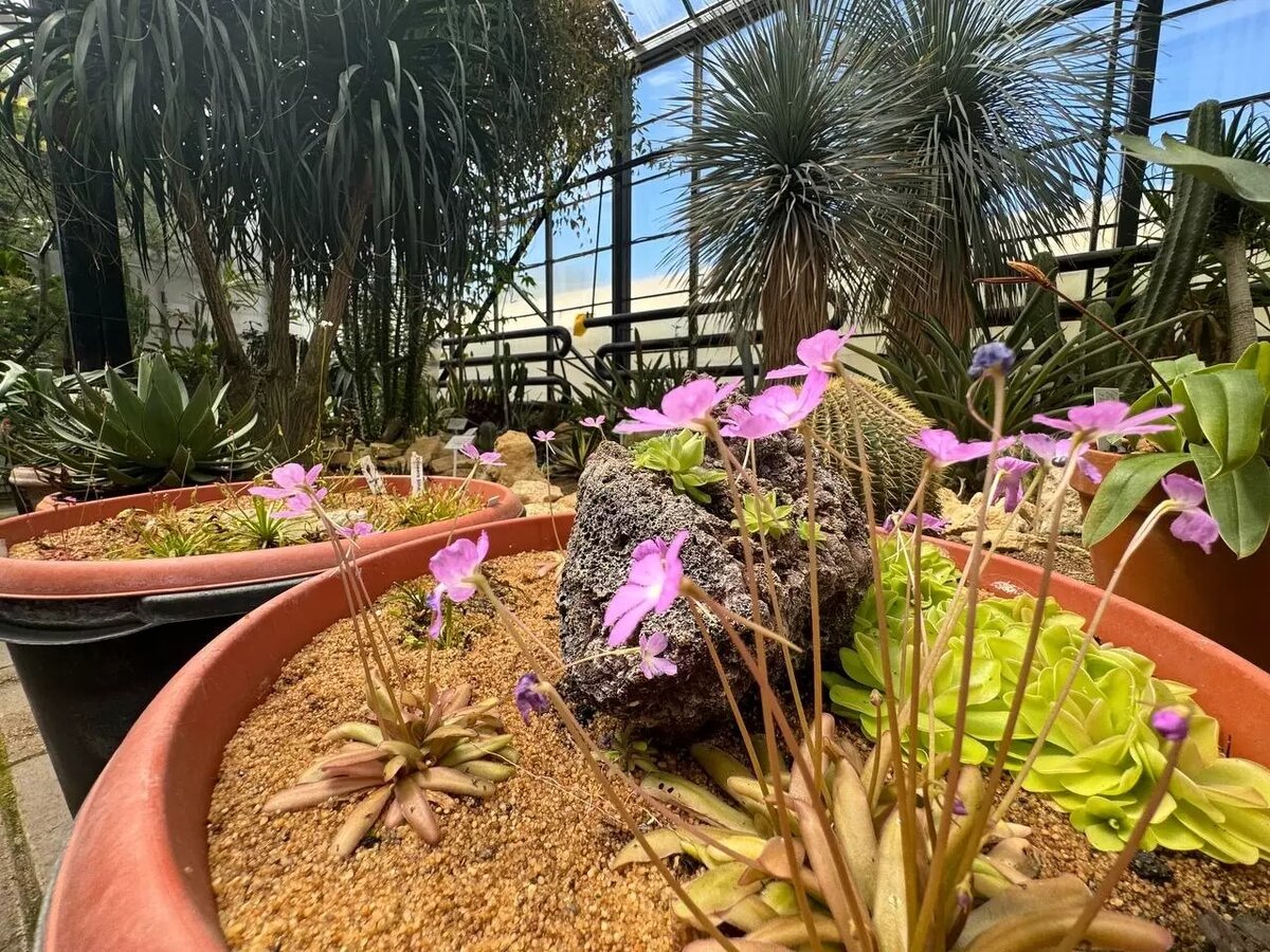     Источник: newsnn.ru