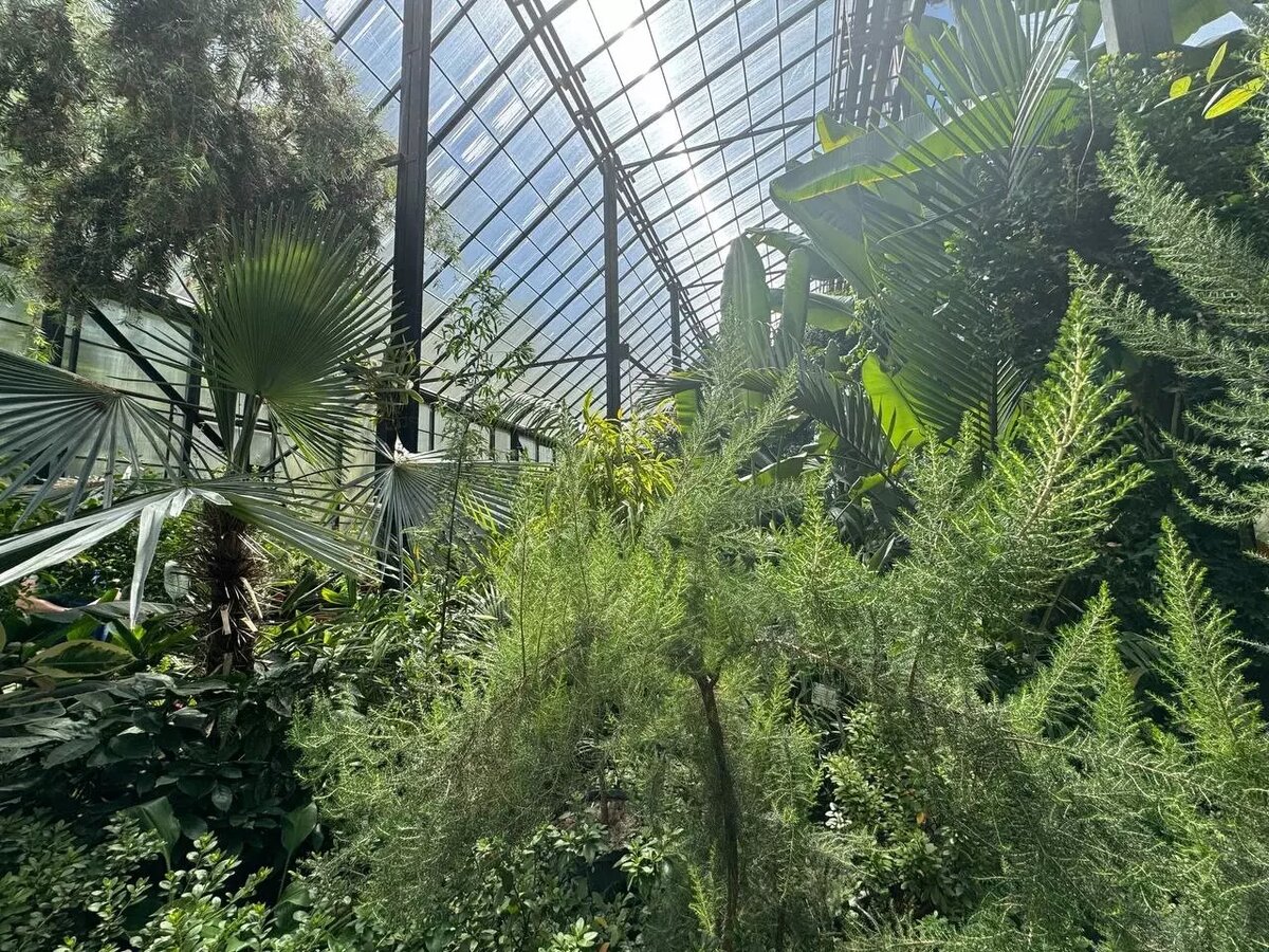     Источник: newsnn.ru