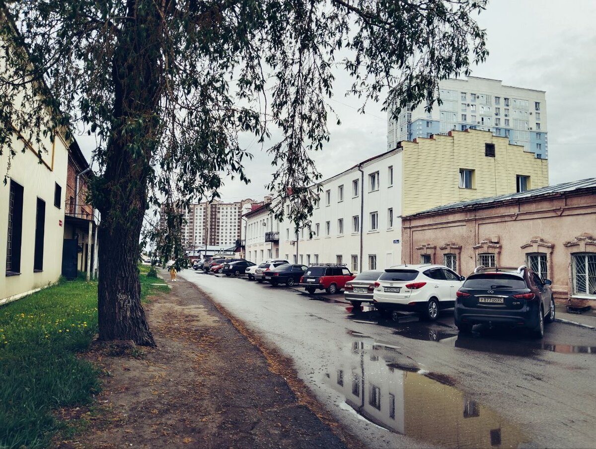Улица Луговая, Барнаул. После дождя. Психоневрологическая клиника справа.