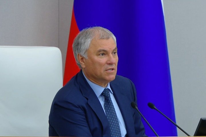 Фото: скриншот с трансляции на сайте duma.gov.ru 