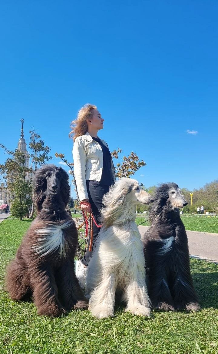 Мои джигиты