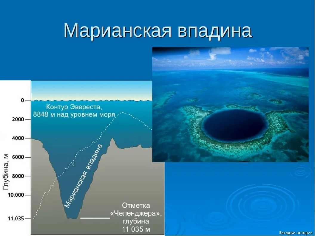 Яндекс картинки