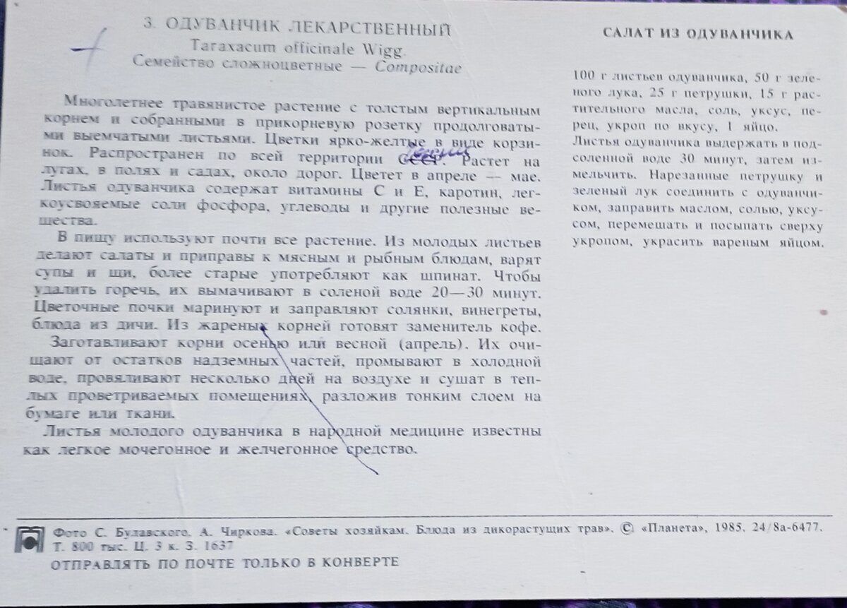 Какое лето без одуванчиков! | Я свяжу себе жизнь... | Дзен