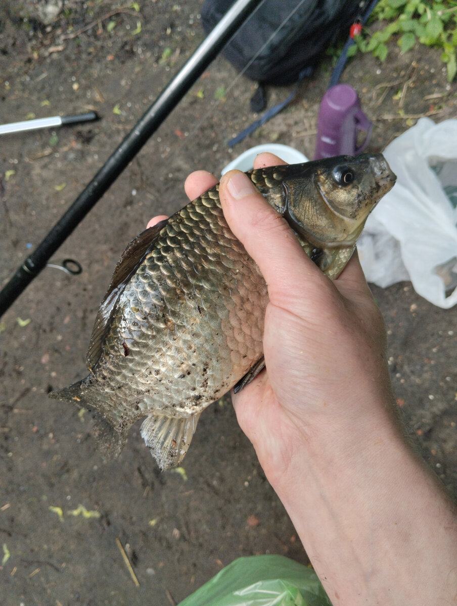 Первый в 2024 году