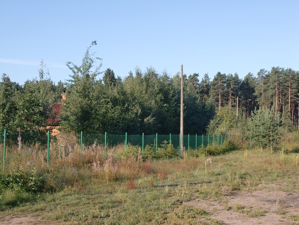 Забор, живая изгородь, плетень в моём саду | Был у меня такой случай... |  Дзен