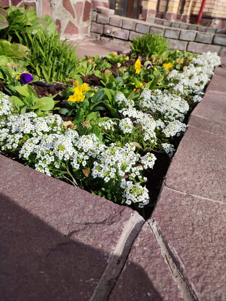 Садим потихоньку