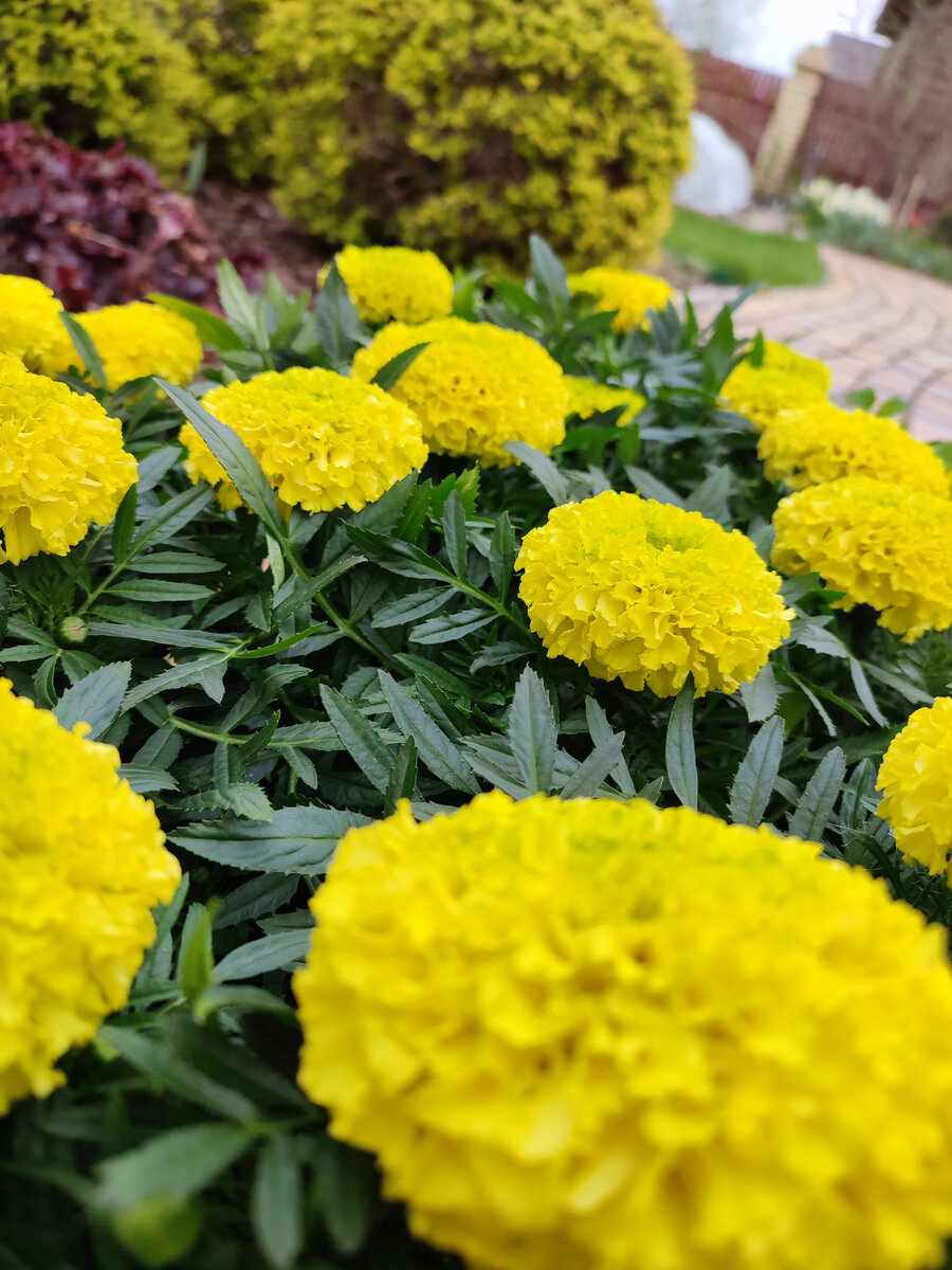 А ночи до сих пор ледяные... 