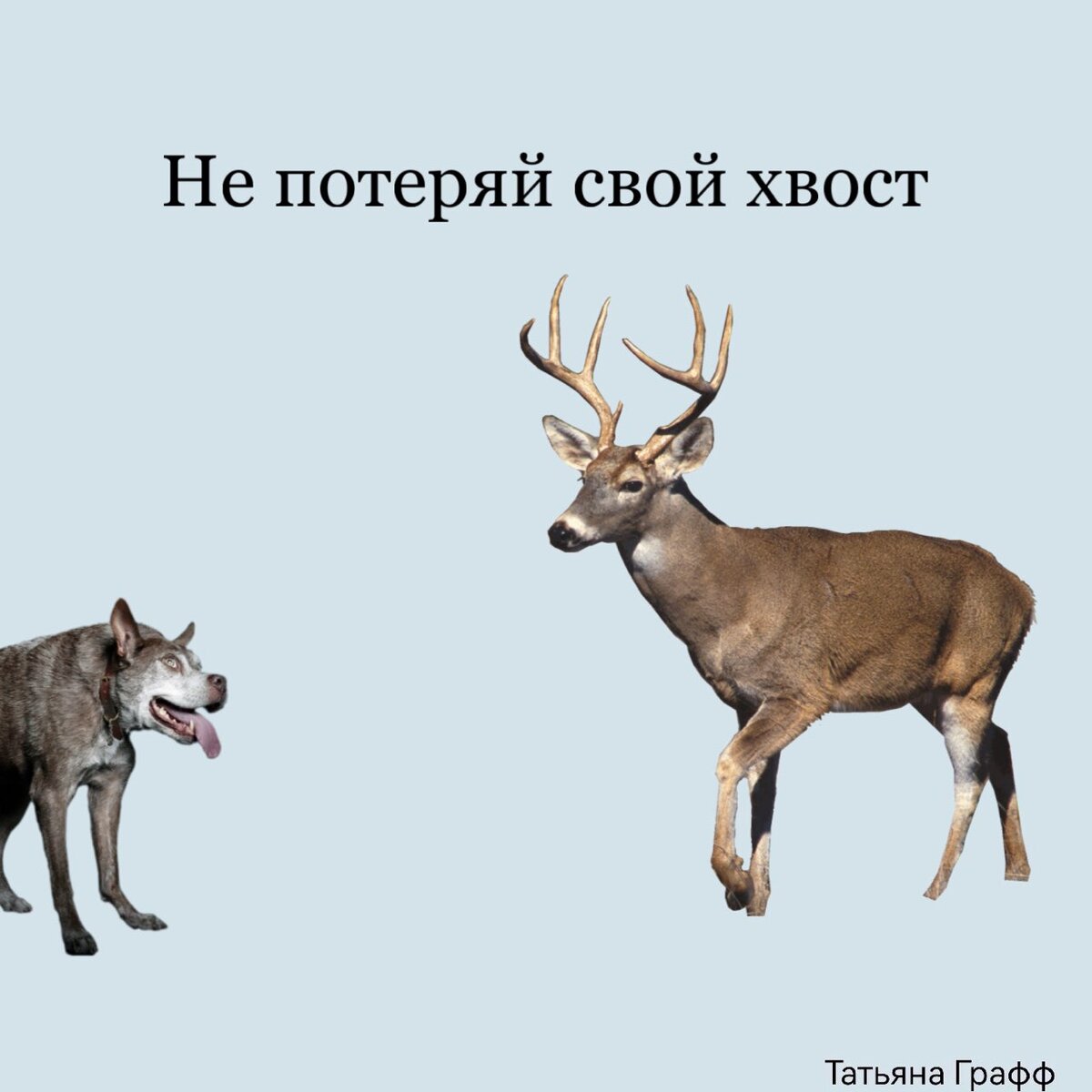 Если у вас воруют тексты, прочтите эту притчу | Граффство контента | Дзен