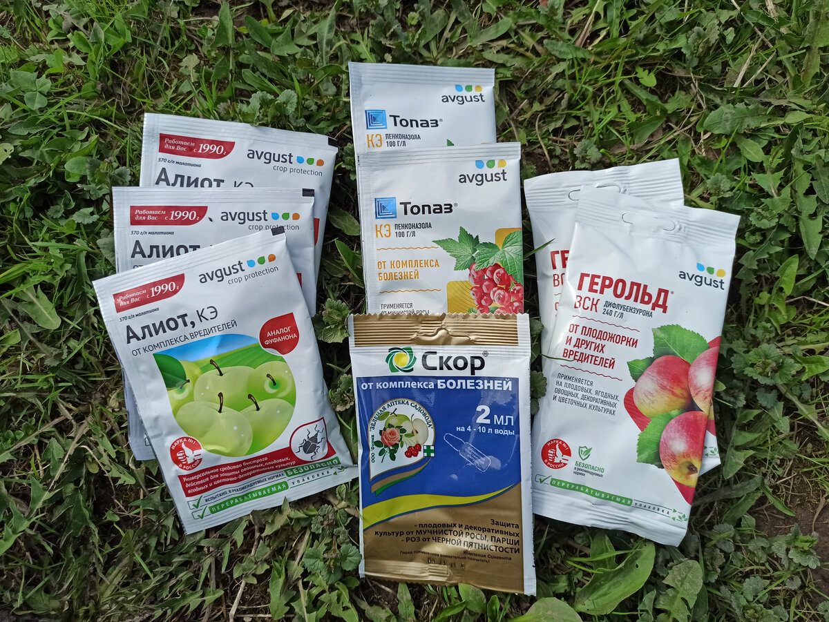 Фото автора. Небольшой запас, пока недорого