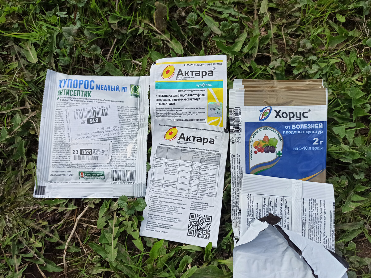 Фото автора. Запасы прошлого года