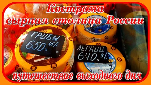 Костромской сыр в сырной столице России путешествие выходного дня