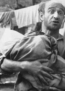 из свободных источников