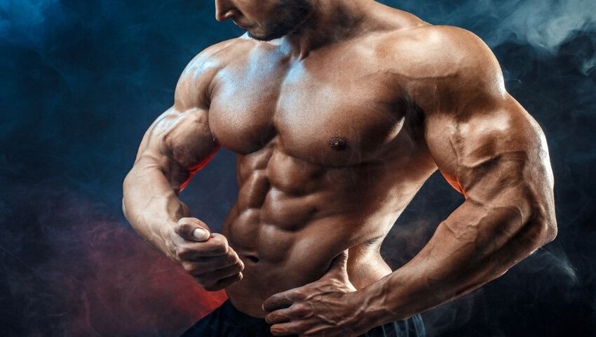 SARMs интересны людям, увлекающимся физической культурой и фитнесом