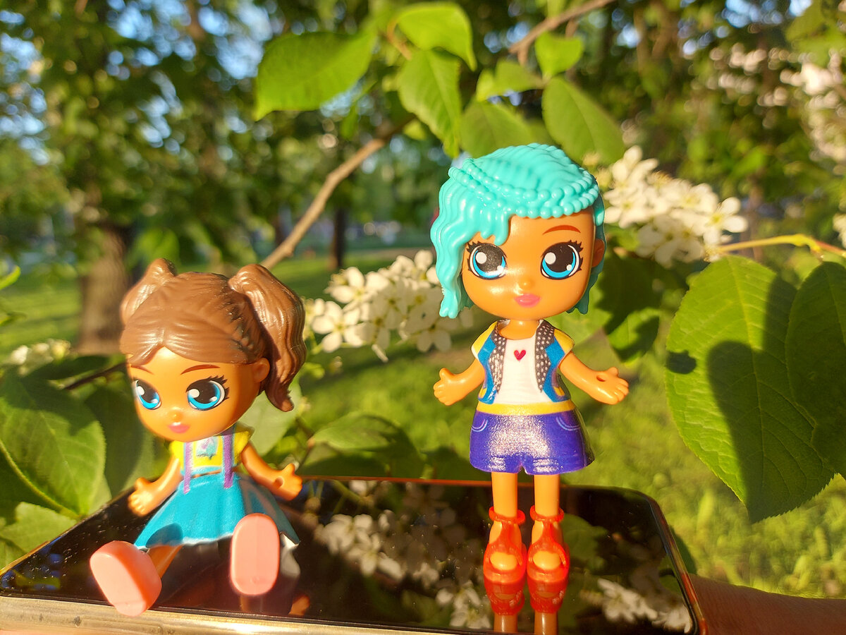 Агата и Кристи на вечерней прогулке