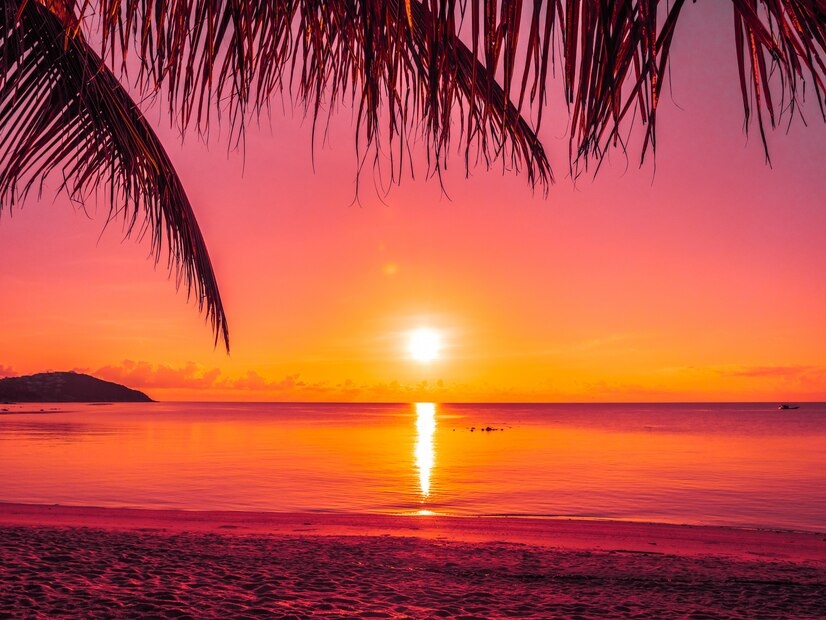 Источник: https://img.freepik.com/free-photo/beautiful-tropical-beach-sea-ocean-with-coconut-palm-tree-sunrise-time_74190-855.jpg?t=st=1741899145~exp=1741902745~hmac=ea8d676c2511af3f9d890982584ed53b90f86f54218062e46f08e3f541f366d6&w=826