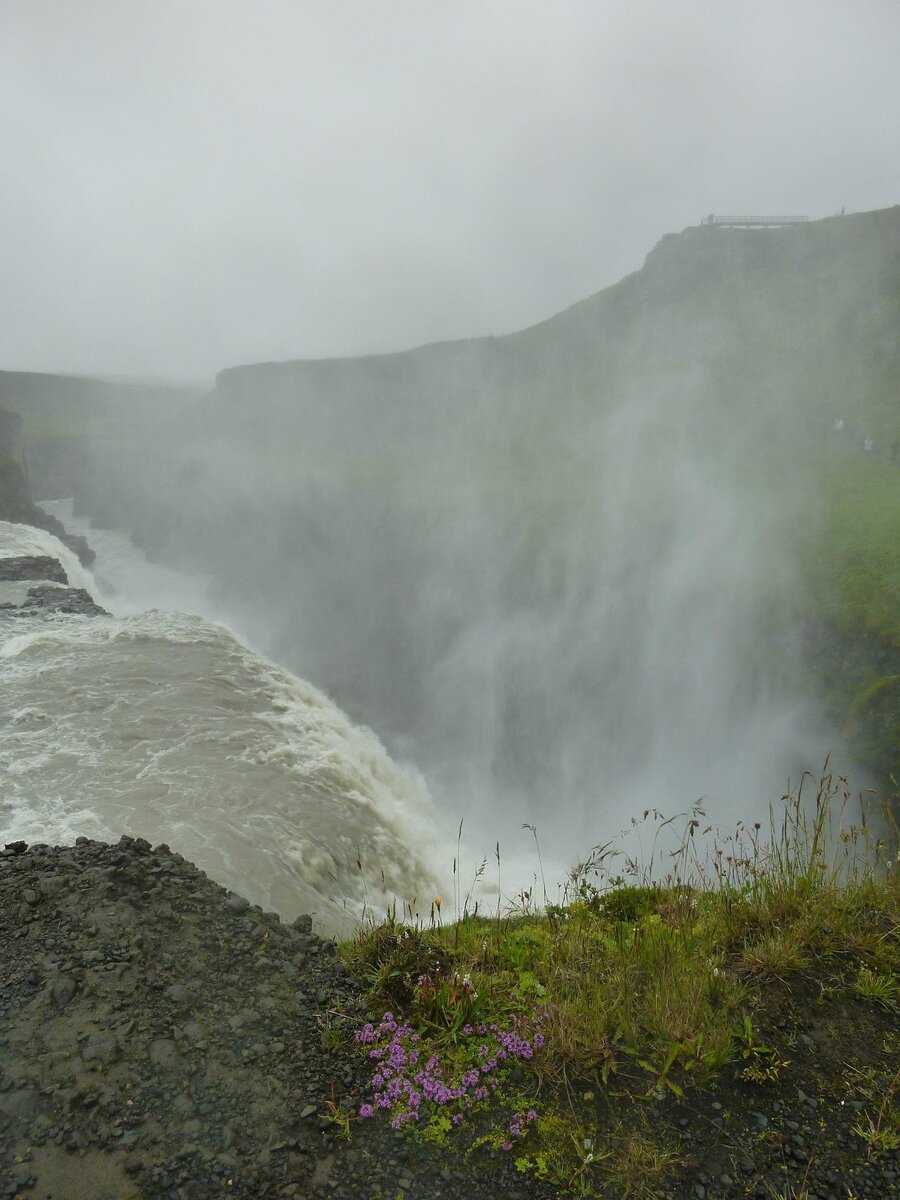 Подобрались поближе. Фото автора 
