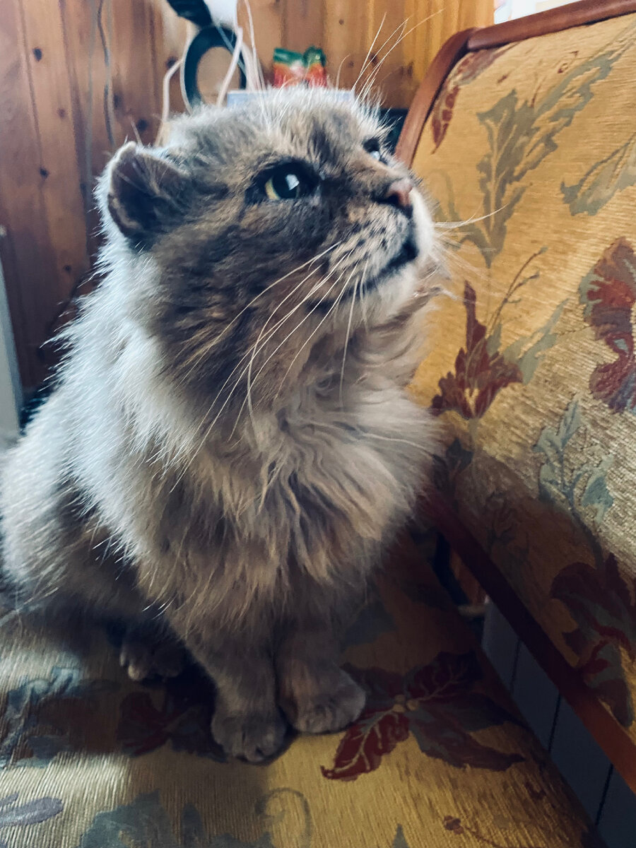 А там еще не открыто? Везде фото автора.