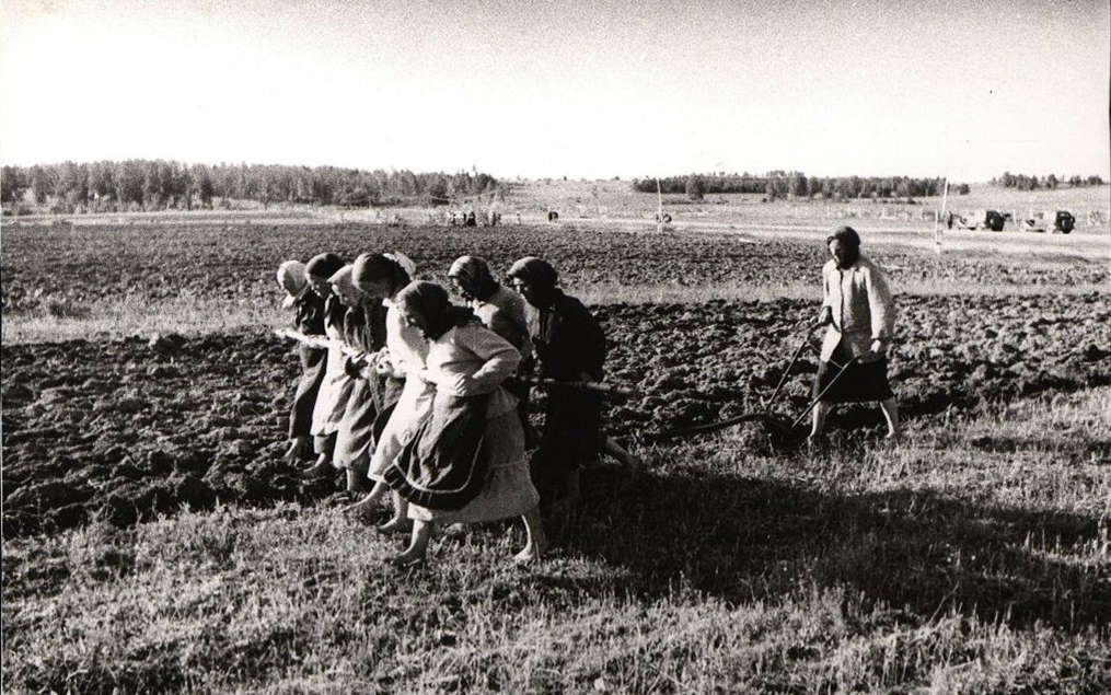 Источник фото: яндекс картинки