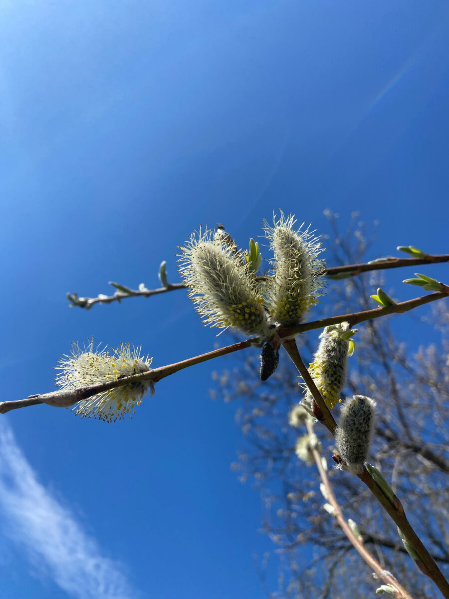 Всем тепла и хорошей погоды