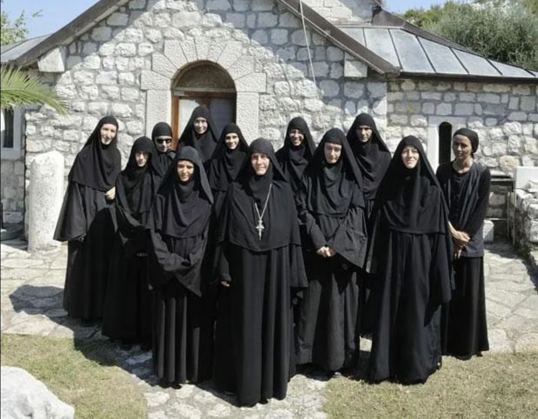 Монахини живут в монастыре. Им не доступна мирская ,телесная жизнь. 