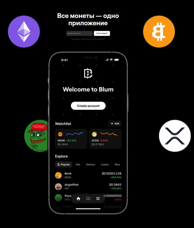 Приложение Blum