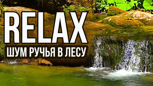 🎵 RELAX MUSIC — Шум Ручья в Лесу и Пение Птиц - Расслабляющая Музыка для Спокойного Сна и Снятия Стресса, Звуки Природы для Релаксации