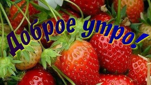 Доброе утро