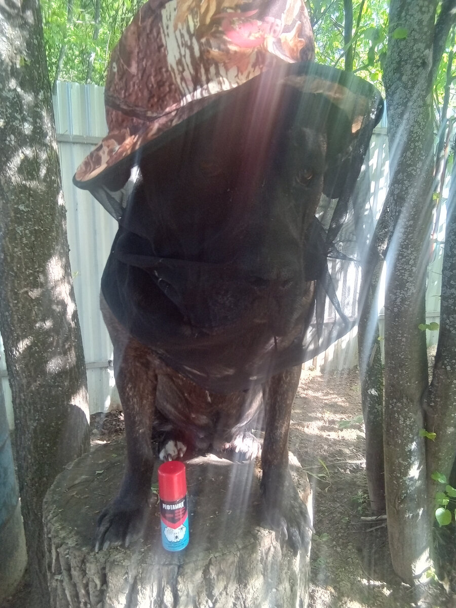 Фото автора. 