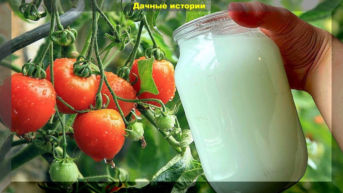https://vk.com/photo-159774511_457265665