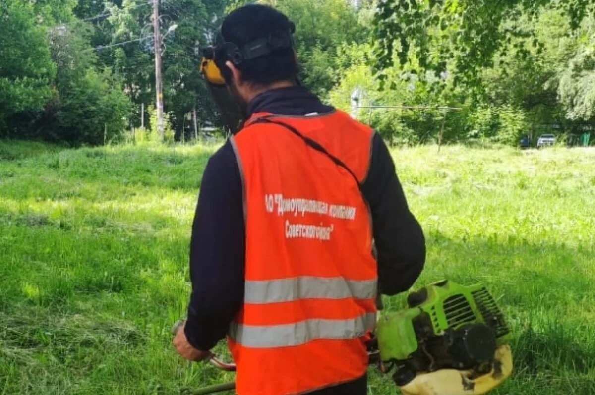    Администрация Читы ищет тех, кто три раза скосит траву за 6,5 млн рублей