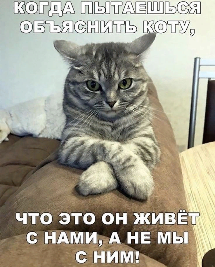 Я пыталась объяснить. Мем когда я пытаюсь объяснить. Я пытаюсь объяснить мем. Физик ядерщик объясняет теорию большого взрыва мем. Я когда пытаюсь объяснить.