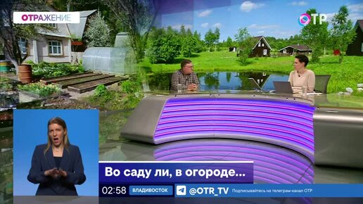 Во саду ли, в огороде...