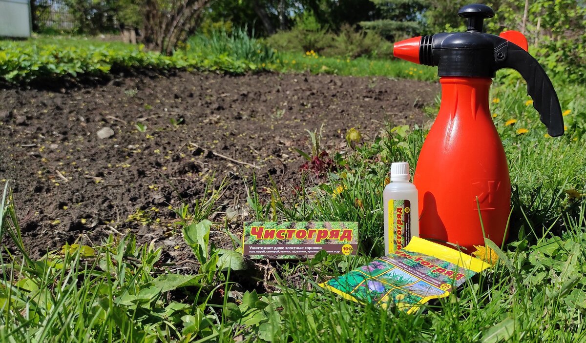 «Чистогряд» предназначен для уничтожения однолетних и многолетних злаковых и двудольных сорняков, в том числе злостных. Реклама. ООО «Ваше хозяйство» ИНН: 5261020018 ERID: 2SDnjcyePN1