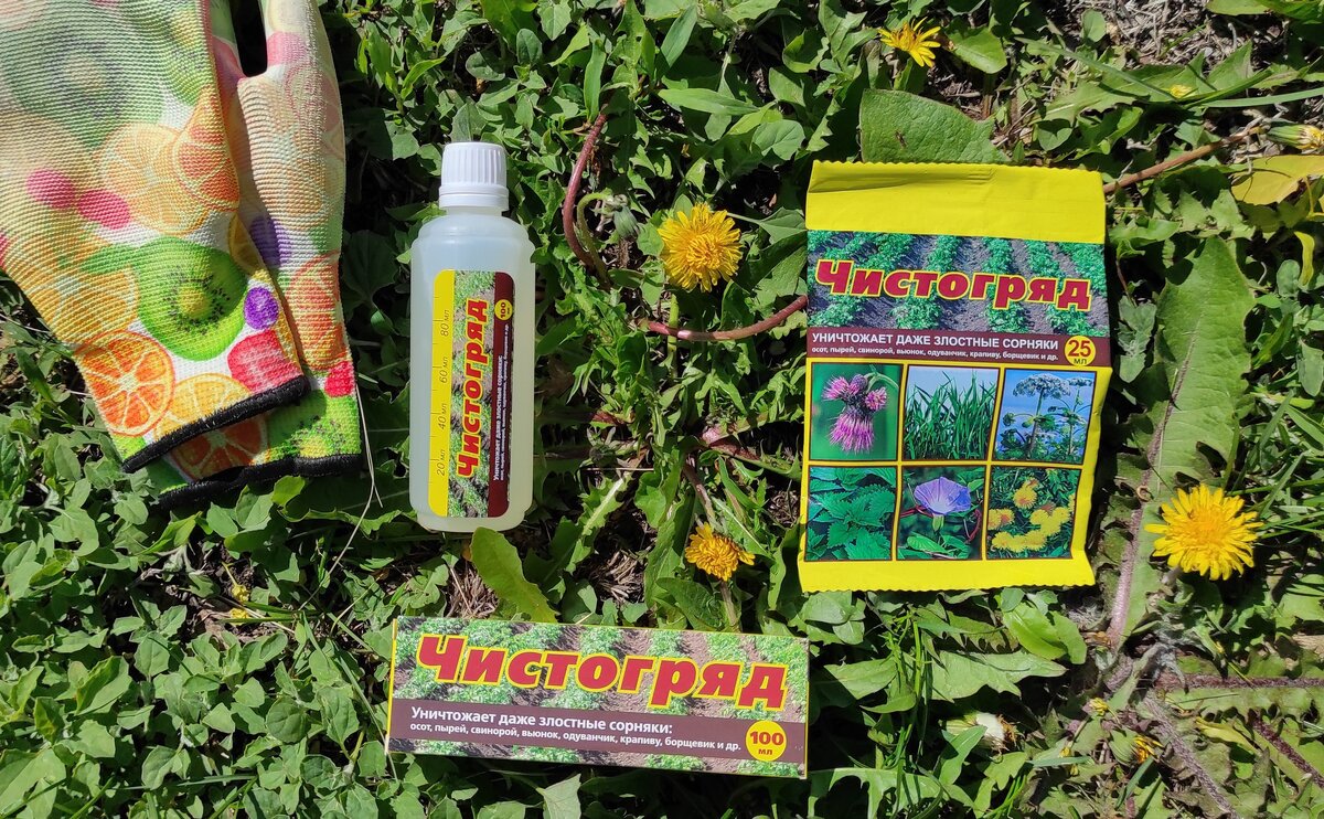 «Чистогряд» — гербицид общеистребляющего назначения и десикант