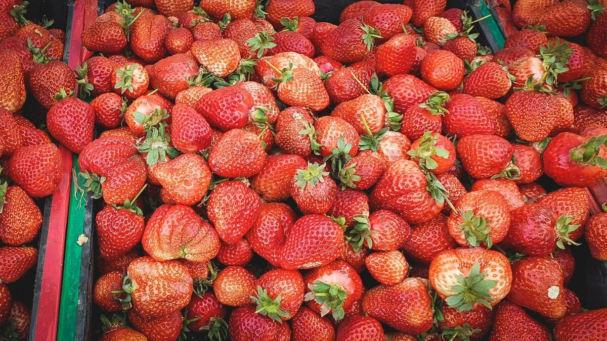     Источник: 1MI