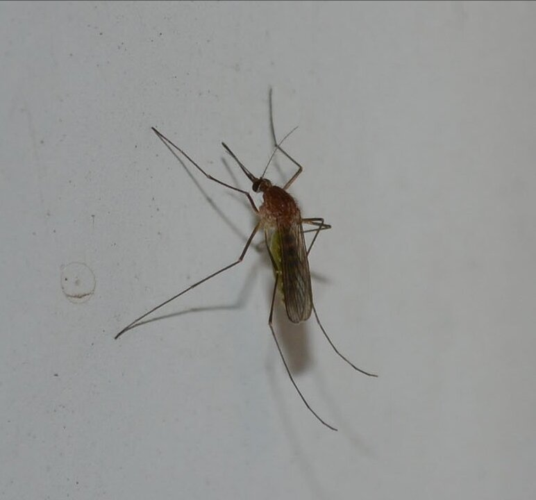 Как хорошо, что мебель светлая