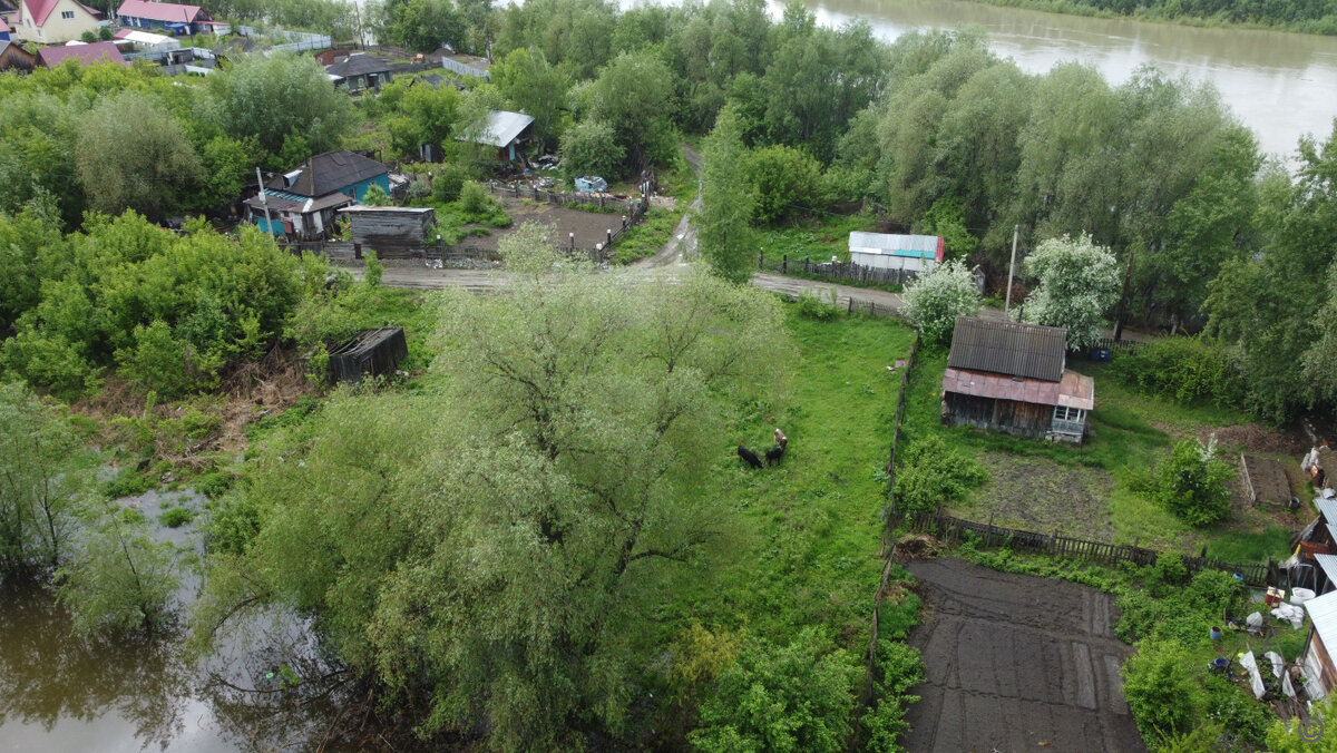 Фото: мэрия Барнаула