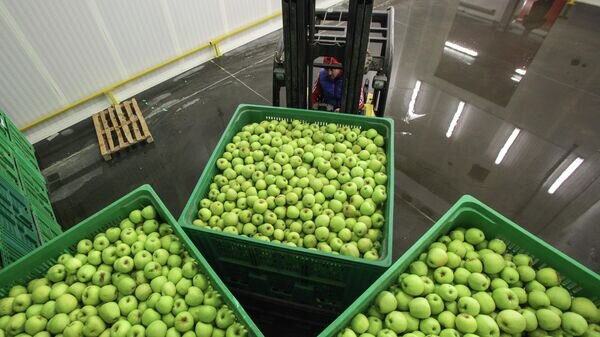    © Sputnik / Денис Абрамов