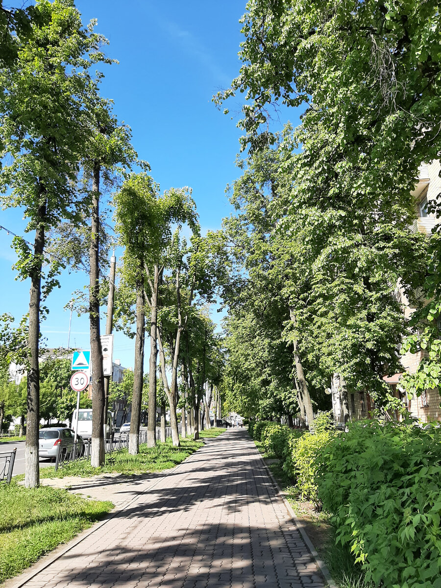 Утреннего фото нашего города Вам. Отвела дочку в сад, а сама по делам пошла