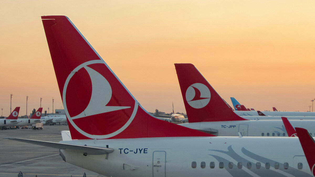 Фото: Alireza Akhlaghi / Unsplash