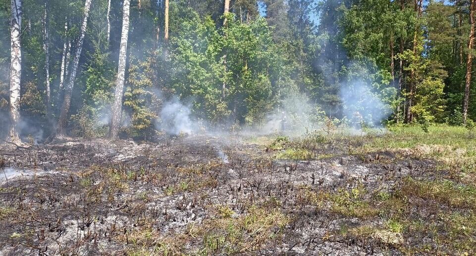    Комитет лесного хозяйства хозяйства Московской области