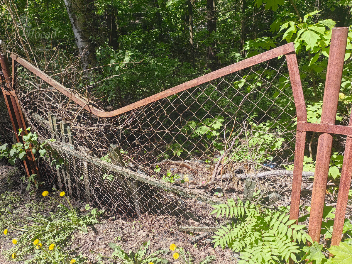 Ладно бы, такой забор был. А то ведь вполне нормальный. Просто фото забора, с которым бы я рассталась без сожаления!