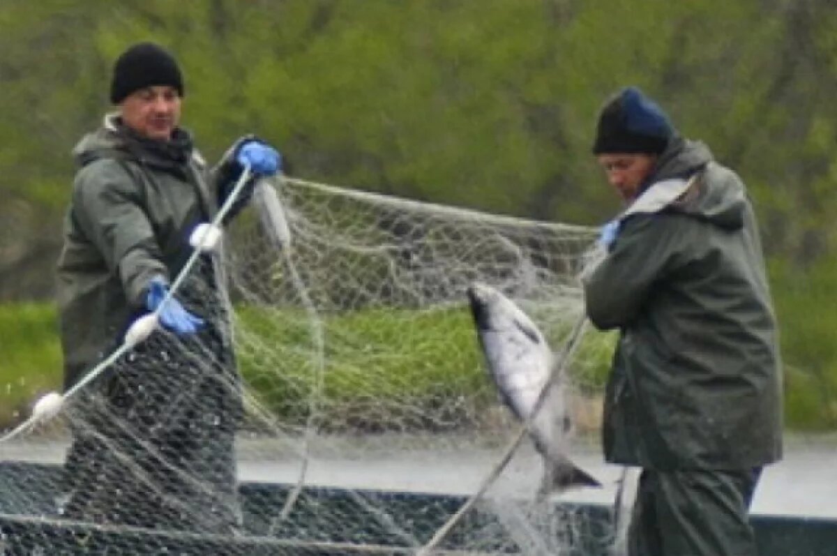    В Ульяновской области за день задержали двух браконьеров с сетями