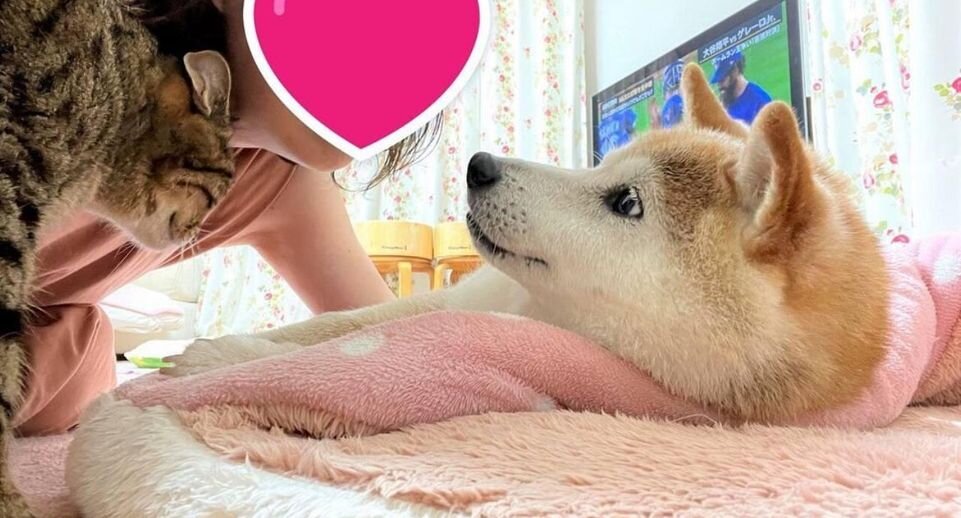    Социальные сети Кабосу