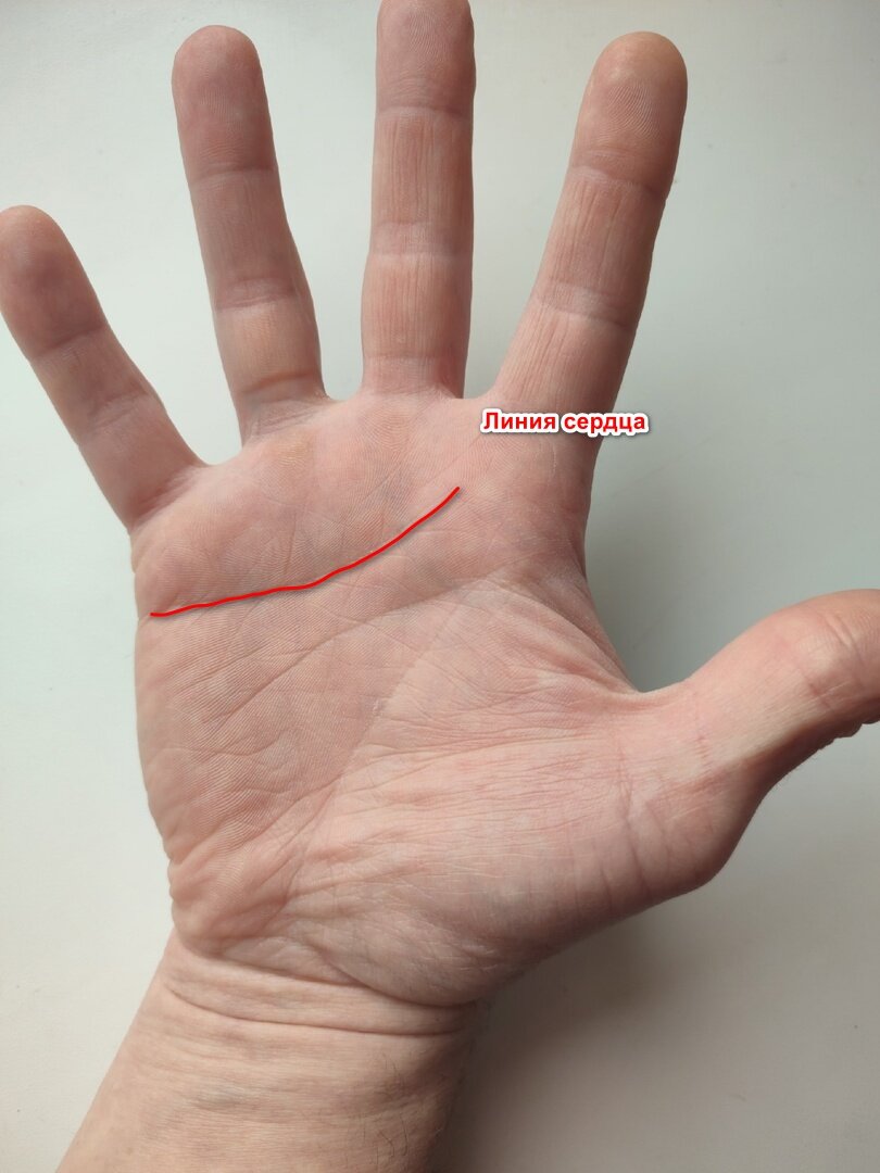Хиромантия, линия сердца