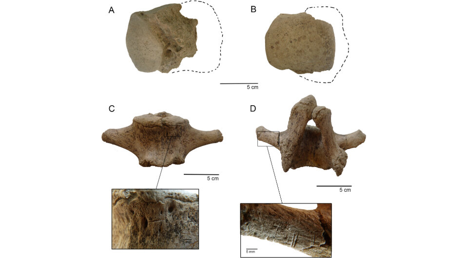   Rafael Labarca et al. / PLoS ONE, 2024