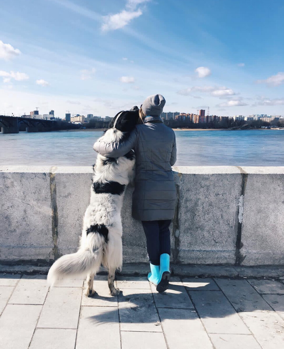 Профессор-волшебные руки | Где дети, Оля? | Дзен