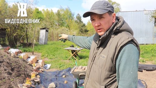 УКРАШАЮ ПОГРЕБ. ВЫСАЖИВАЮ РАСТЕНИЯ, ДЕЛАЮ СТУПЕНЬКИ, РАСКЛАДЫВАЮ КАМНИ