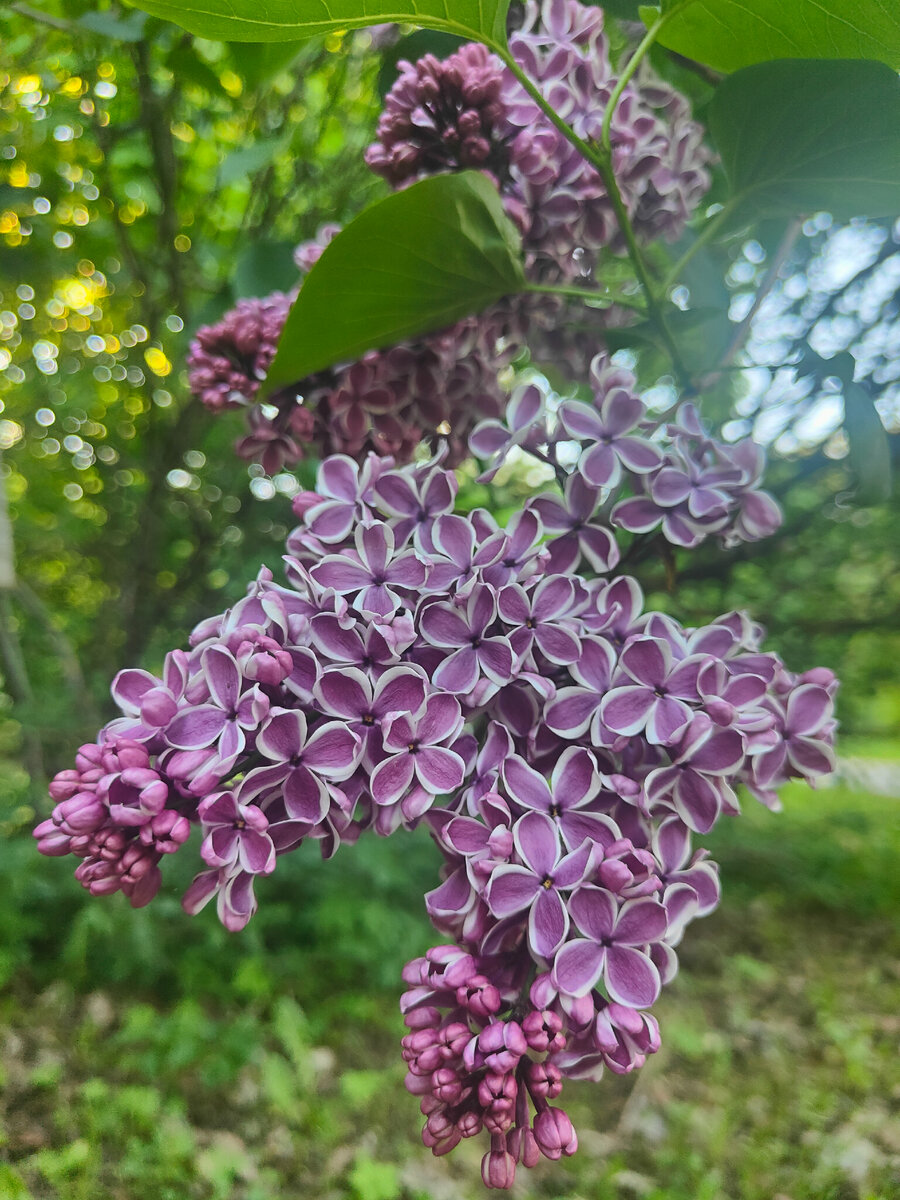 фото автора Елены М.